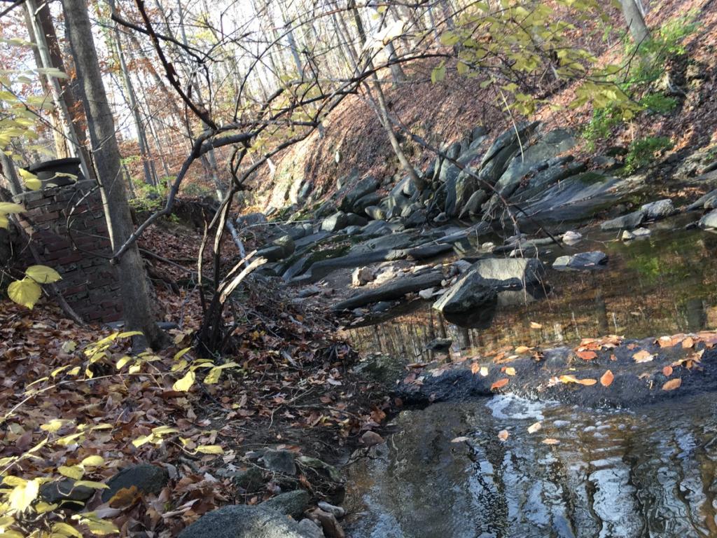 Sewer Rehabilitation Project Soapstone Valley Park DC Water